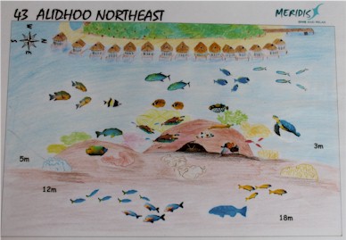 Alidhoo Northeast